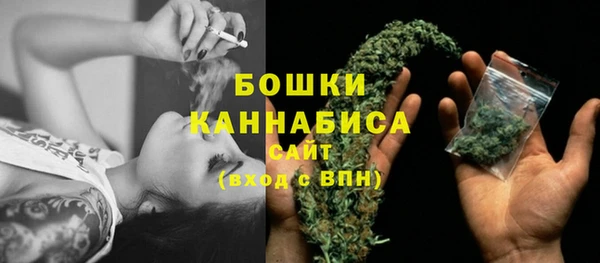 соль ск Великий Новгород