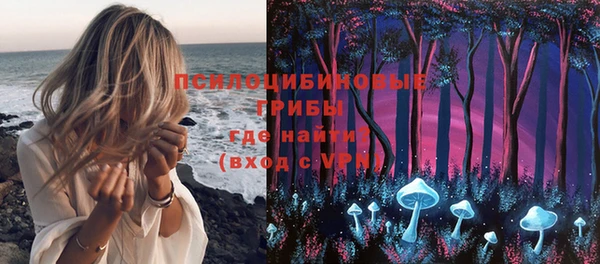 соль ск Великий Новгород