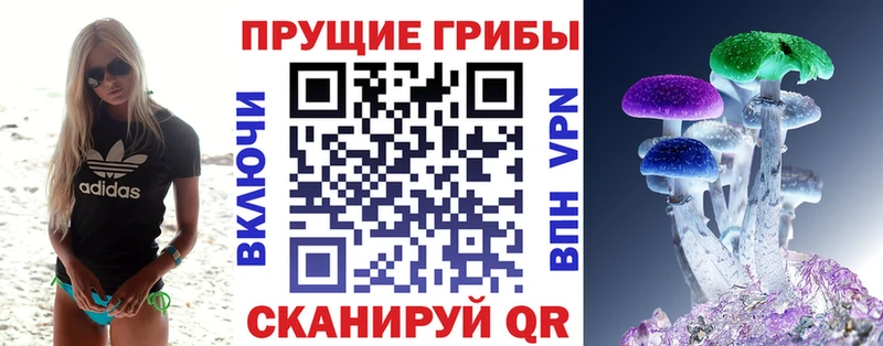 Галлюциногенные грибы Psilocybe  Завитинск 